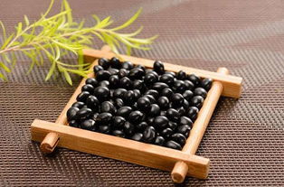 一粒小黑豆种子，嫩种出多远的菜园呢？