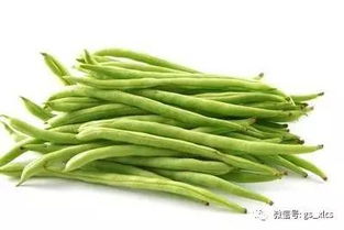 豆角的霉病，怎么办？