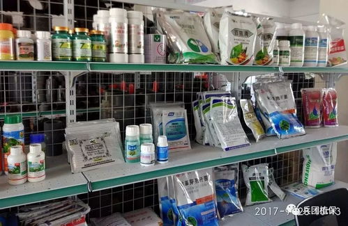 专业机构帮忙鉴定