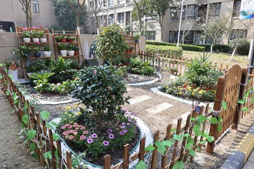 北方园林的花坛