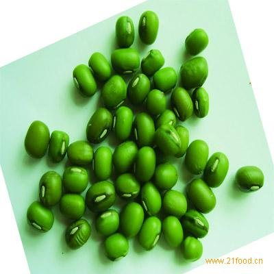 天气转凉，绿豆价格不跌反涨