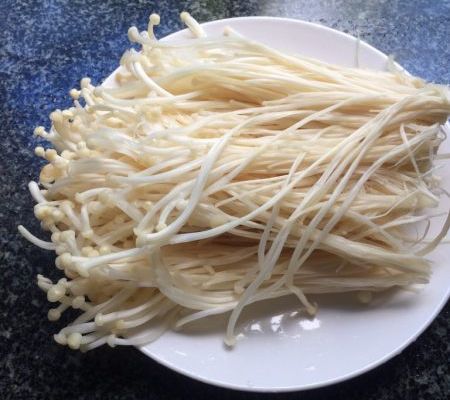 想种金针菇？金针菇的根这样做