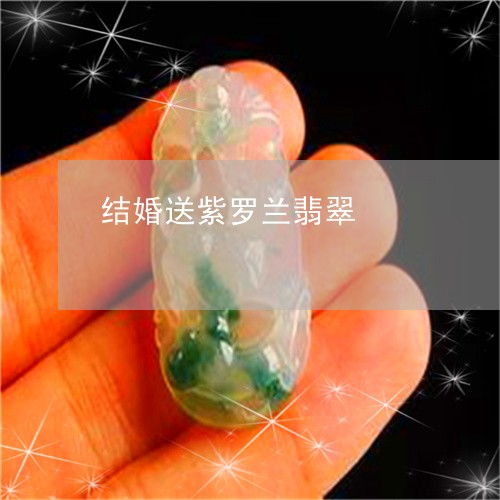 紫罗兰种植要点及象征爱情