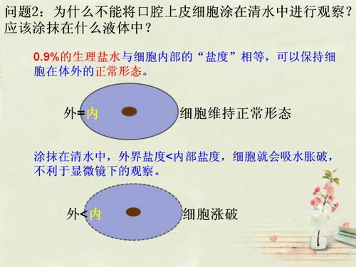 2025年甲维盐新篇章：创新与效果的双重飞跃
