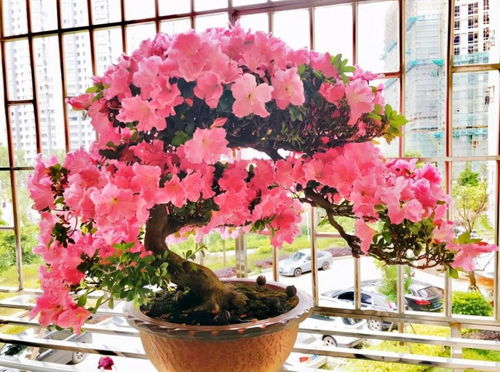 注意啦！别信“全国通用”的鬼话