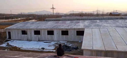 标准化猪舍建筑：结构合理