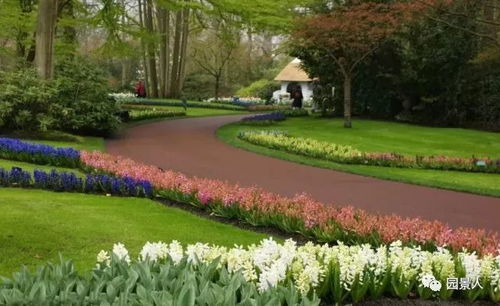 北方露地越冬宿根花卉的强大生命力