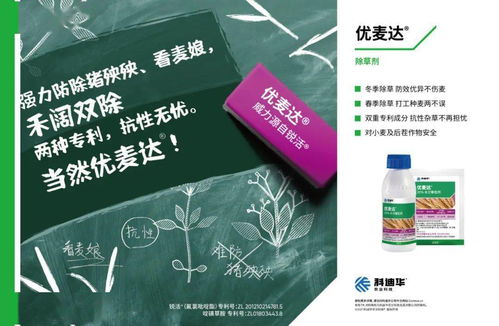 如何精准掌握菊酯农药的兑水比例