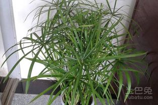 新手必堪：血泪教训