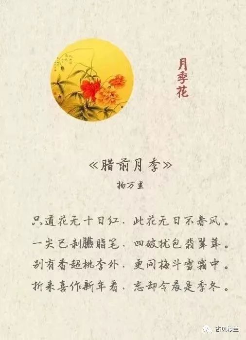 花儿的诗， 花儿的梦