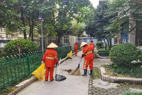 杭州绿化工人的日常挑战大揭秘