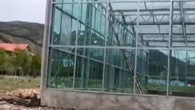 微型盆花月季，种出来真难！