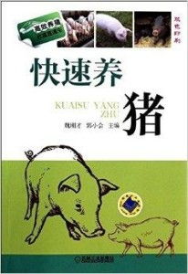 高效养猪，财富之道