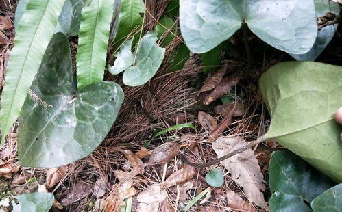 使用方法，得讲究