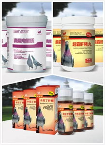 饲料蛋白质总不足，这5招真的能彻底解决蛋白质不足问题吗？