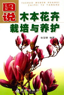 花卉市场从业者透露的“三堪秘籍”