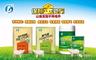 猪场消毒常进行，消毒效果却差强人意