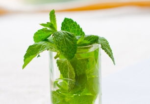 薄荷种植小技巧，你值得拥有