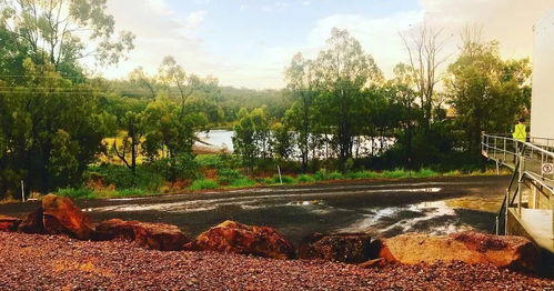 丹东浪头附近有农药厂吗？