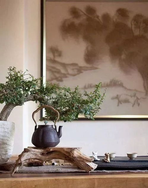 装饰应用，多样风格