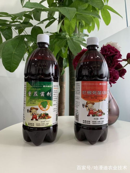 发病前或初期，及时喷药