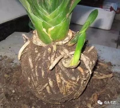 换土前的准备工作