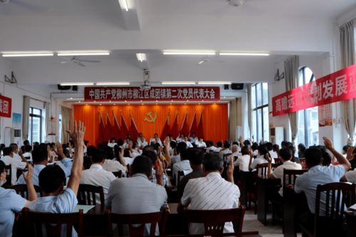 无患子种植过程中，如何确保其从播种到成熟的全过程顺利成长