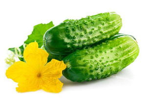 黄瓜：清爽解暑，提升生活品质