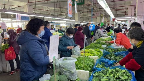 广州菜心价格跌至每公斤七元以上，市民购买热情高涨