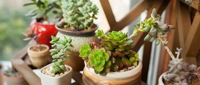 装修废料，妙用无穷！