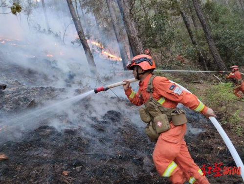 竹林火灾的可怕