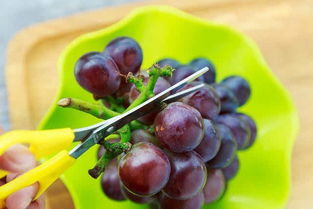甲基托布津， 保护果实好帮手