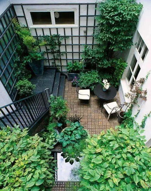 还要注意排水和灌溉系统