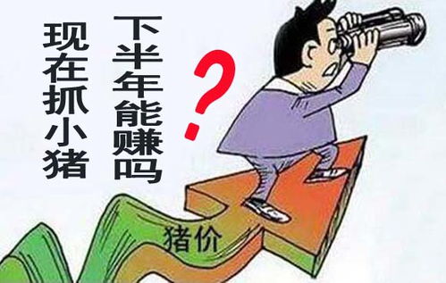 猪饲料代理利润高不高？新手如何赚钱避坑？