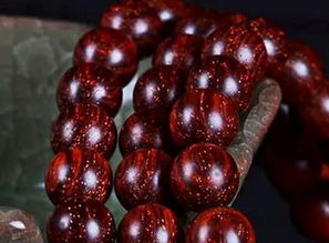 小叶紫檀种子发芽率低？我来告诉你如何避开误区提高存活率！