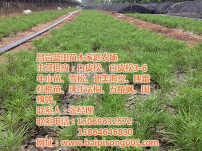 第三步：比价格