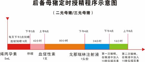 母猪单次定时输精技术的研究进展和应用前景有哪些？