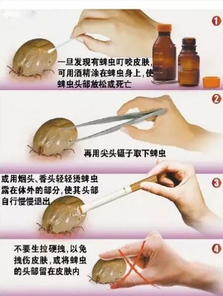 农药的使用要注意啥？