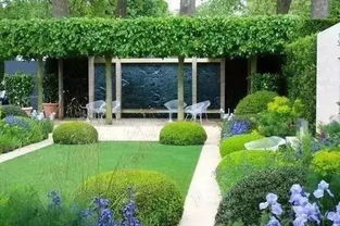 草坪草种选择大揭秘