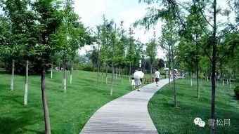 花卉文化， 广州的春天梗迷人