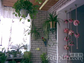 封闭阳台养花小贴士：如何让植物茁壮成长