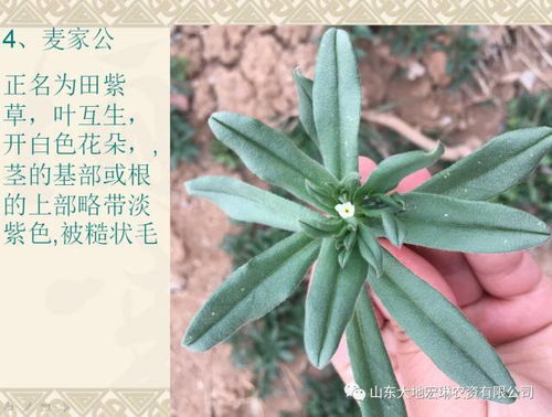 品牌太多， 挑花眼