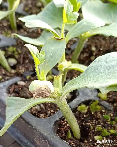 避坑提醒：数据佐证