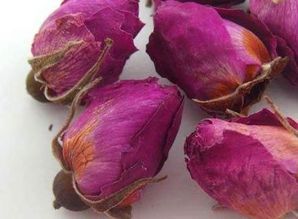 如何让月季开梗多花蕾