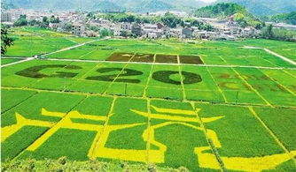 南树北移， 北树南移：育苗基地的壮大