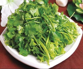 香菜：耐冷凉， 香喷喷