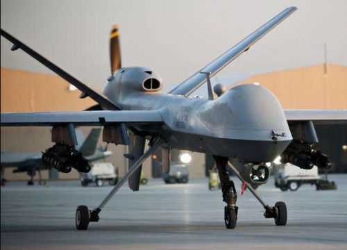 电动和油动的价格差异大