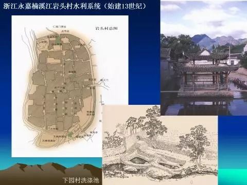 探索丝棉树：形态、分布与文化价值
