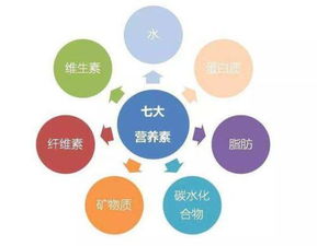 鱼粉钙磷比例如何影响其营养成分，具体包含哪些元素？