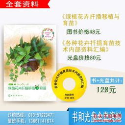 上思县山茶油育苗指南：如何高效培育优质茶籽